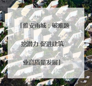 雅安雨城：破难题 挖潜力 促进建筑业高质量发展