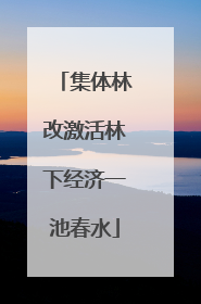 集体林改激活林下经济一池春水