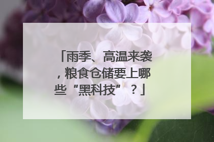 雨季、高温来袭，粮食仓储要上哪些“黑科技”？