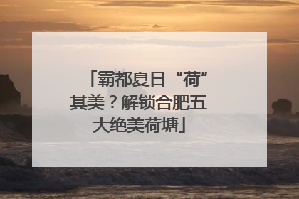 霸都夏日“荷”其美？解锁合肥五大绝美荷塘