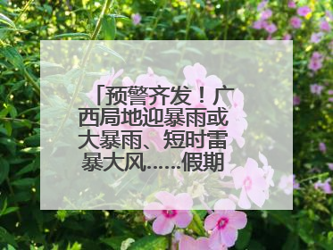 预警齐发！广西局地迎暴雨或大暴雨、短时雷暴大风……假期返程注意→