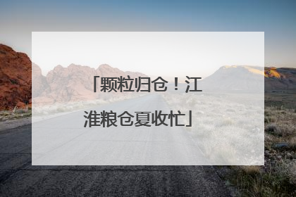 颗粒归仓！江淮粮仓夏收忙