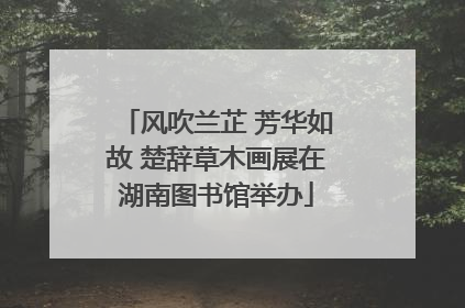 风吹兰芷 芳华如故 楚辞草木画展在湖南图书馆举办