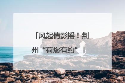 风起倩影摇！荆州“荷您有约”