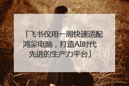 飞书仅用一周快速适配鸿蒙电脑，打造AI时代先进的生产力平台