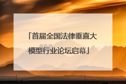 首届全国法律垂直大模型行业论坛启幕
