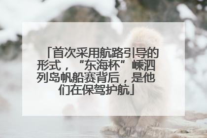 首次采用航路引导的形式，“东海杯”嵊泗列岛帆船赛背后，是他们在保驾护航