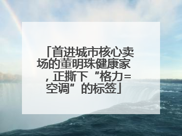 首进城市核心卖场的董明珠健康家，正撕下“格力=空调”的标签