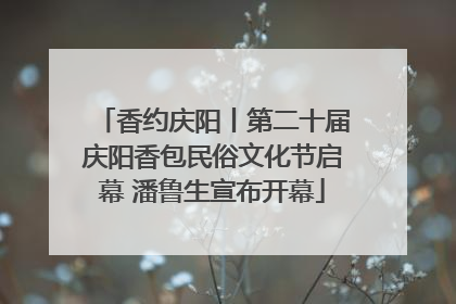 香约庆阳丨第二十届庆阳香包民俗文化节启幕 潘鲁生宣布开幕