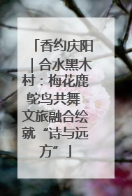 香约庆阳｜合水黑木村：梅花鹿鸵鸟共舞 文旅融合绘就“诗与远方”