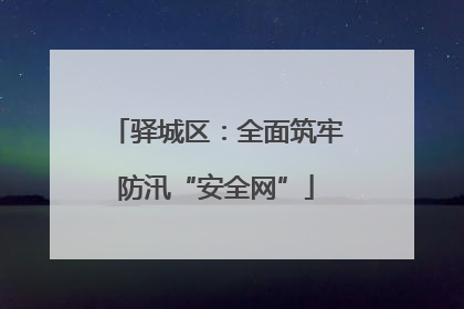 驿城区：全面筑牢防汛“安全网”