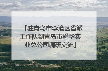 驻青岛市李沧区省派工作队到青岛市舜华实业总公司调研交流