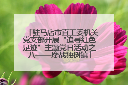 驻马店市直工委机关党支部开展“追寻红色足迹”主题党日活动之八——鏖战独树镇