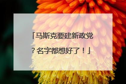 马斯克要建新政党？名字都想好了！