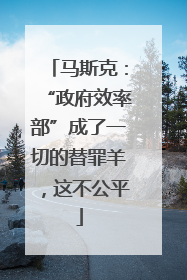 马斯克：“政府效率部”成了一切的替罪羊，这不公平