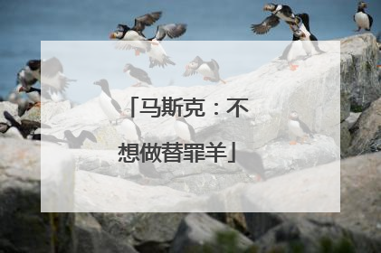 马斯克：不想做替罪羊