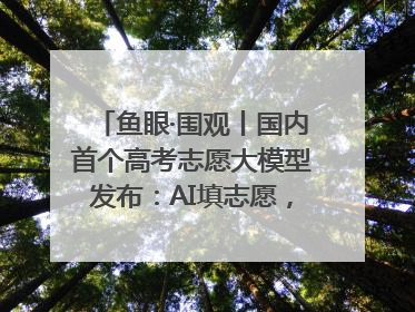 鱼眼·围观丨国内首个高考志愿大模型发布：AI填志愿，靠不靠谱？
