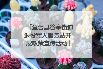 鱼台县谷亭街道退役军人服务站开展政策宣传活动