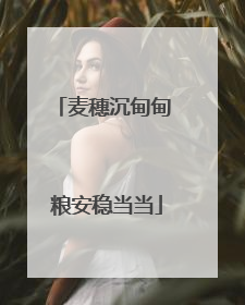 麦穗沉甸甸 粮安稳当当