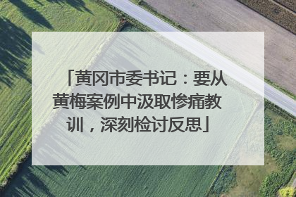 黄冈市委书记：要从黄梅案例中汲取惨痛教训，深刻检讨反思