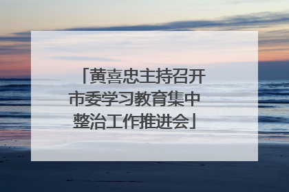 黄喜忠主持召开市委学习教育集中整治工作推进会