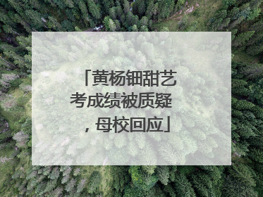 黄杨钿甜艺考成绩被质疑，母校回应