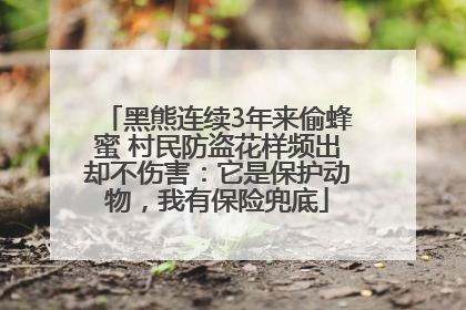 黑熊连续3年来偷蜂蜜 村民防盗花样频出却不伤害：它是保护动物，我有保险兜底