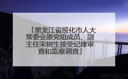 黑龙江省绥化市人大常委会原党组成员、副主任宋树生接受纪律审查和监察调查
