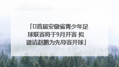 ﻿首届安徽省青少年足球联赛将于9月开赛 拟邀请赵鹏为先导赛开球