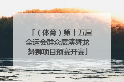 （体育）第十五届全运会群众展演舞龙舞狮项目预赛开赛