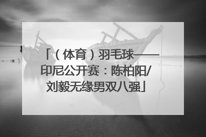 （体育）羽毛球——印尼公开赛：陈柏阳/刘毅无缘男双八强