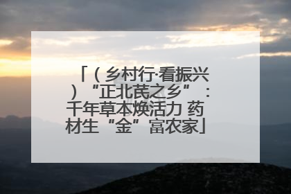 （乡村行·看振兴）“正北芪之乡”：千年草本焕活力 药材生“金”富农家