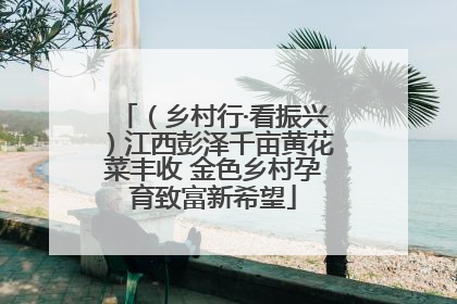 （乡村行·看振兴）江西彭泽千亩黄花菜丰收 金色乡村孕育致富新希望