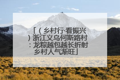 （乡村行·看振兴）浙江义乌何斯路村：龙粽越包越长折射乡村人气渐旺