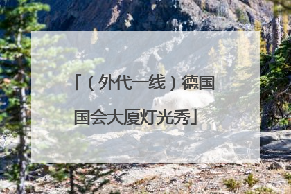 （外代一线）德国国会大厦灯光秀