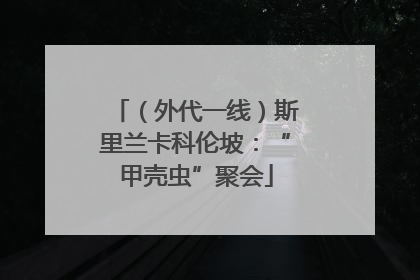 （外代一线）斯里兰卡科伦坡：“甲壳虫”聚会