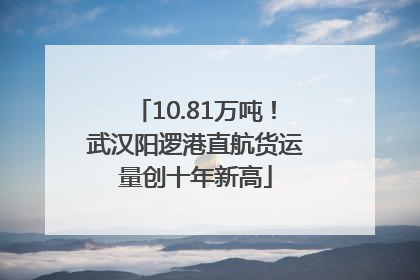 10.81万吨！武汉阳逻港直航货运量创十年新高