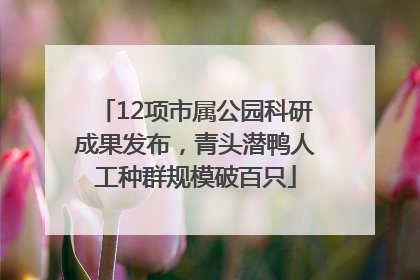 12项市属公园科研成果发布，青头潜鸭人工种群规模破百只