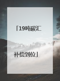19吨碳汇补偿到位