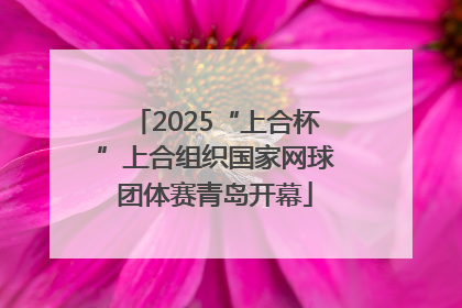 2025“上合杯”上合组织国家网球团体赛青岛开幕