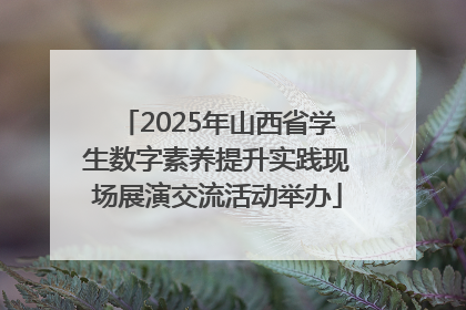 2025年山西省学生数字素养提升实践现场展演交流活动举办