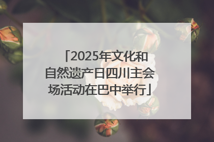 2025年文化和自然遗产日四川主会场活动在巴中举行