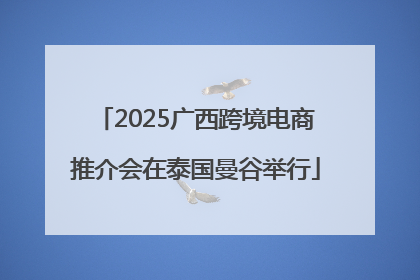 2025广西跨境电商推介会在泰国曼谷举行