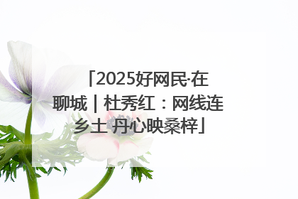 2025好网民·在聊城｜杜秀红：网线连乡土 丹心映桑梓