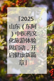2025山东（东阿）中医药文化旅游体验周启动，开启健康新篇章