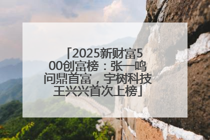 2025新财富500创富榜：张一鸣问鼎首富，宇树科技王兴兴首次上榜
