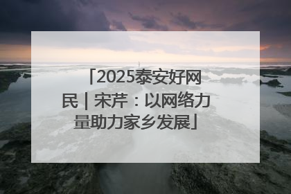 2025泰安好网民｜宋芹：以网络力量助力家乡发展