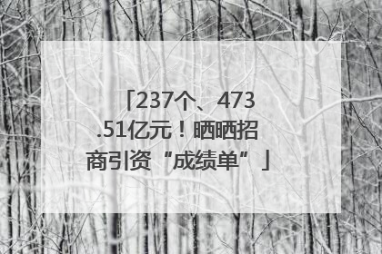 237个、473.51亿元！晒晒招商引资“成绩单”