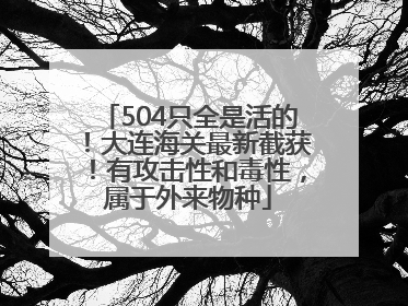 504只全是活的！大连海关最新截获！有攻击性和毒性，属于外来物种