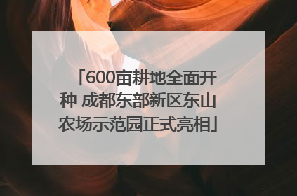600亩耕地全面开种 成都东部新区东山农场示范园正式亮相